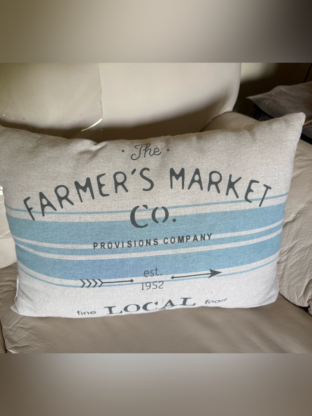 Decorative Farmers Market Company Throw Pillow - Blue and Cream